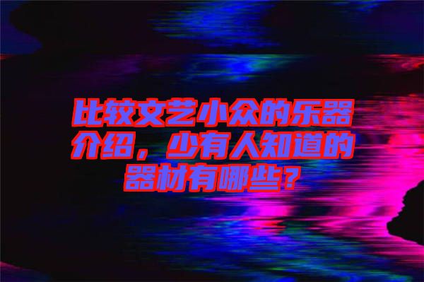 比較文藝小眾的樂器介紹，少有人知道的器材有哪些？