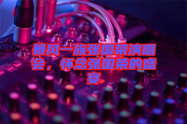 暴風(fēng)一族張國榮演唱會(huì)，懷念張國榮的盛宴