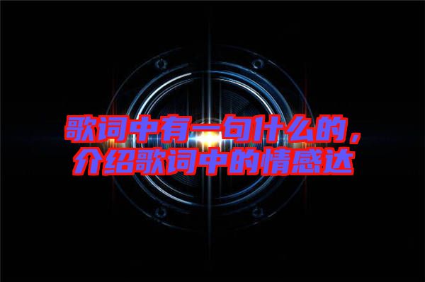 歌詞中有一句什么的，介紹歌詞中的情感達(dá)