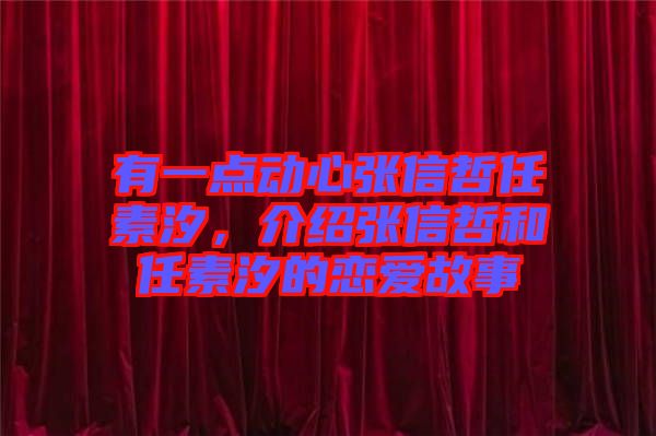 有一點(diǎn)動(dòng)心張信哲任素汐，介紹張信哲和任素汐的戀愛故事