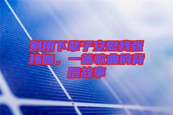 別用下輩子安慰我張瑋伽，一首歌曲的背后故事
