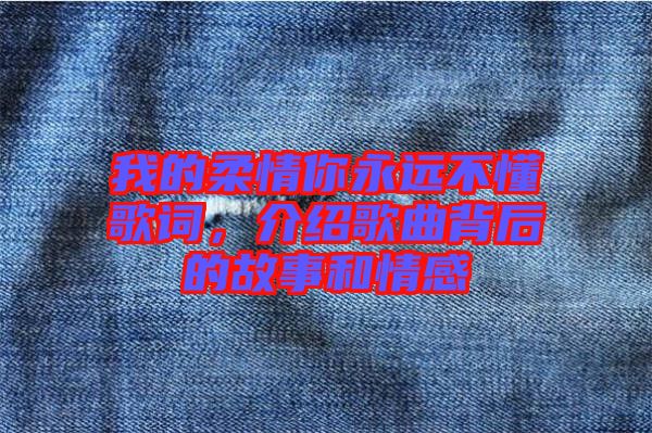 我的柔情你永遠(yuǎn)不懂歌詞，介紹歌曲背后的故事和情感