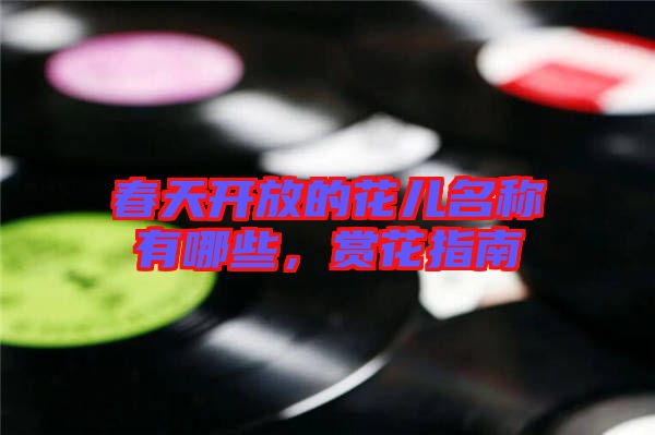 春天開放的花兒名稱有哪些，賞花指南