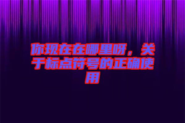 你現(xiàn)在在哪里呀，關(guān)于標(biāo)點(diǎn)符號(hào)的正確使用