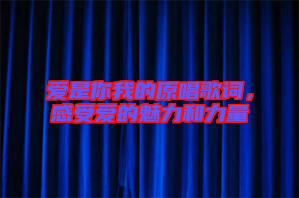愛(ài)是你我的原唱歌詞，感受愛(ài)的魅力和力量