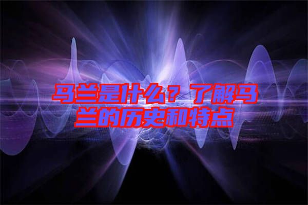 馬蘭是什么？了解馬蘭的歷史和特點