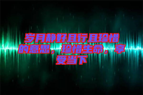 歲月靜好且行且珍惜的意思，珍惜生命，享受當下
