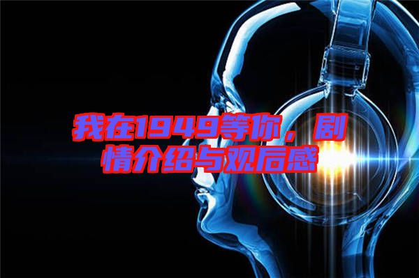 我在1949等你，劇情介紹與觀后感