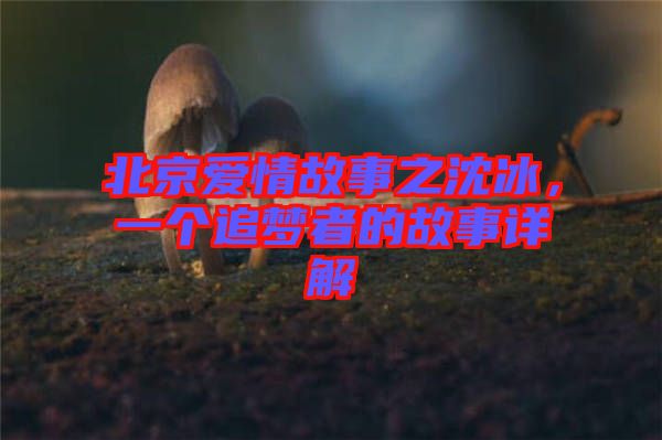 北京愛情故事之沈冰，一個追夢者的故事詳解