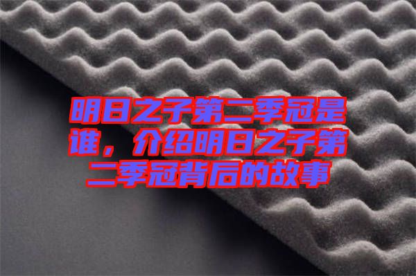 明日之子第二季冠是誰(shuí)，介紹明日之子第二季冠背后的故事