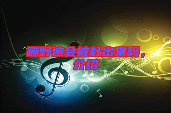 蹦野迪會(huì)被趕出來嗎，介紹