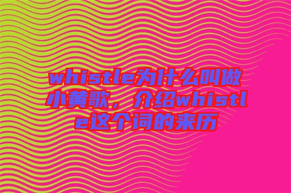 whistle為什么叫做小黃歌，介紹whistle這個詞的來歷