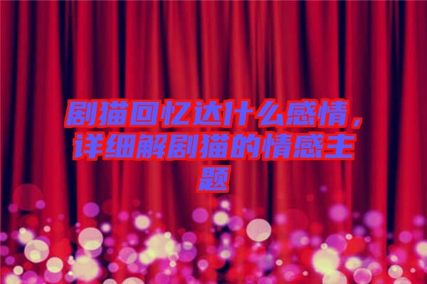 劇貓回憶達什么感情，詳細解劇貓的情感主題