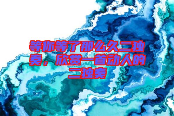 等你等了那么久二獨奏，欣賞一首動人的二獨奏