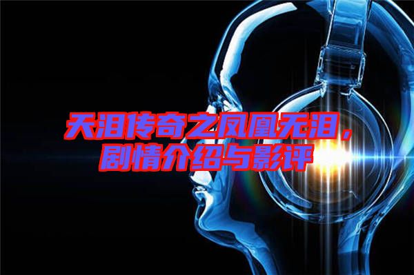 天淚傳奇之鳳凰無淚，劇情介紹與影評