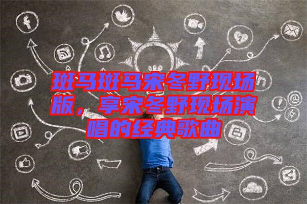 斑馬斑馬宋冬野現(xiàn)場(chǎng)版，享宋冬野現(xiàn)場(chǎng)演唱的經(jīng)典歌曲