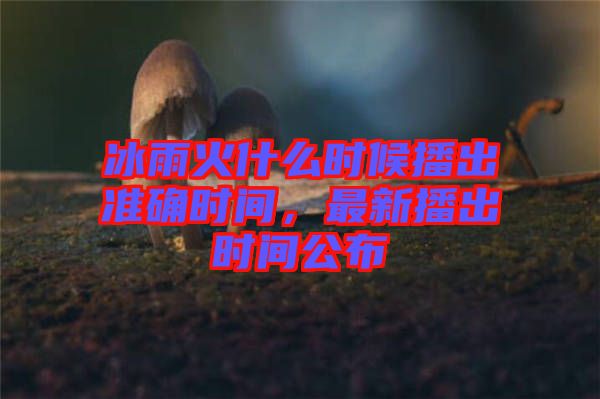 冰雨火什么時(shí)候播出準(zhǔn)確時(shí)間，最新播出時(shí)間公布