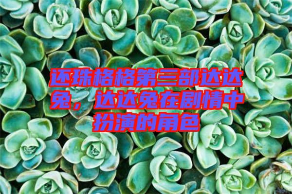還珠格格第三部達(dá)達(dá)兔，達(dá)達(dá)兔在劇情中扮演的角色