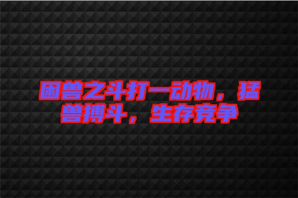 困獸之斗打一動物，猛獸搏斗，生存競爭