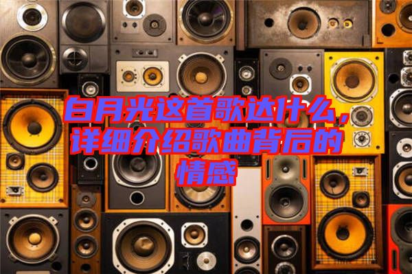 白月光這首歌達什么，詳細介紹歌曲背后的情感