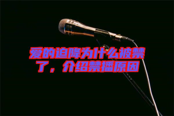 愛(ài)的迫降為什么被禁了，介紹禁播原因
