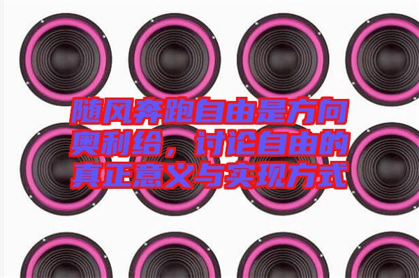 隨風奔跑自由是方向奧利給，討論自由的真正意義與實現(xiàn)方式