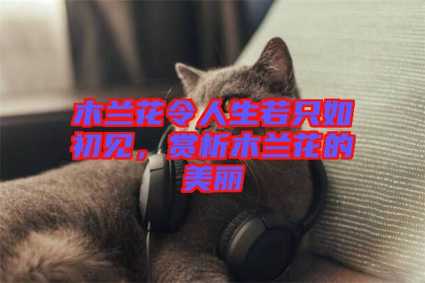 木蘭花令人生若只如初見，賞析木蘭花的美麗