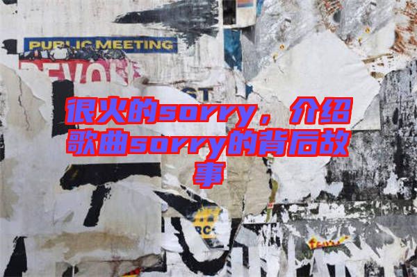 很火的sorry，介紹歌曲sorry的背后故事