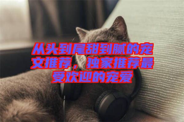 從頭到尾甜到膩的寵文推薦，獨家推薦最受歡迎的寵愛
