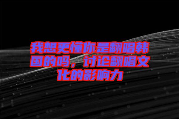 我想更懂你是翻唱韓國的嗎，討論翻唱文化的影響力