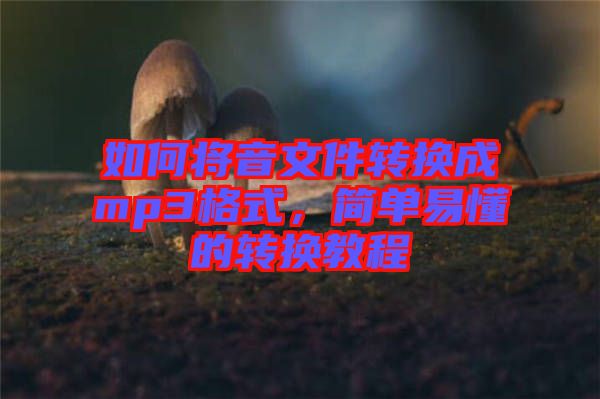 如何將音文件轉(zhuǎn)換成mp3格式，簡單易懂的轉(zhuǎn)換教程