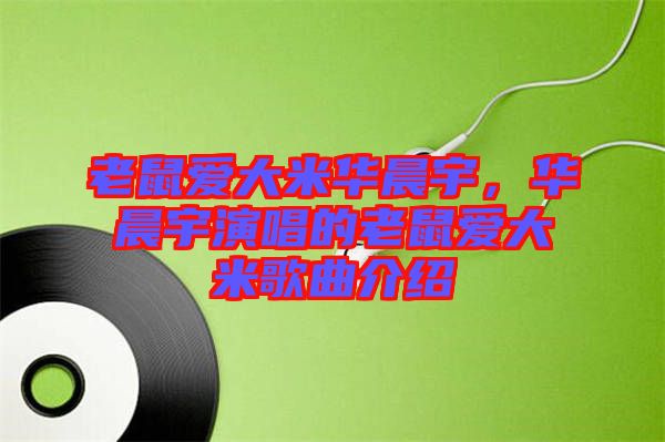 老鼠愛大米華晨宇，華晨宇演唱的老鼠愛大米歌曲介紹