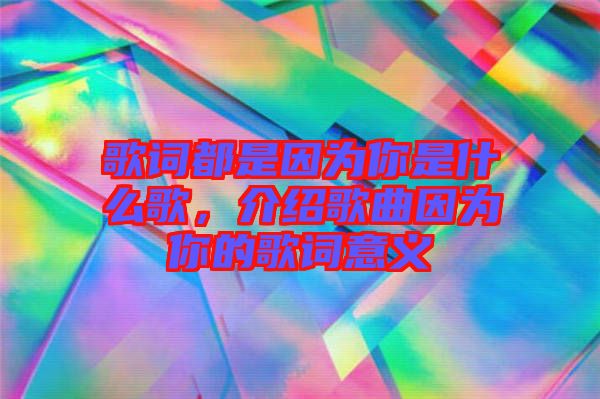 歌詞都是因?yàn)槟闶鞘裁锤?，介紹歌曲因?yàn)槟愕母柙~意義