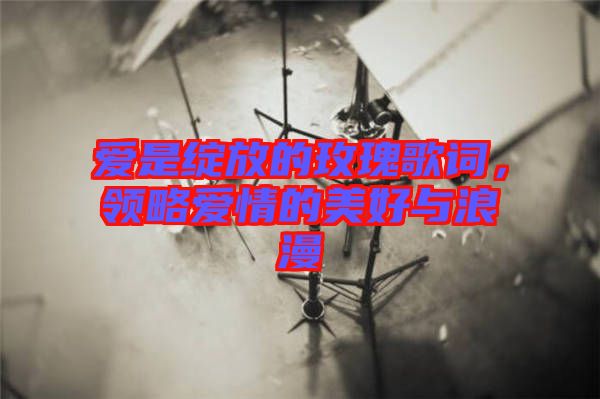 愛是綻放的玫瑰歌詞，領(lǐng)略愛情的美好與浪漫