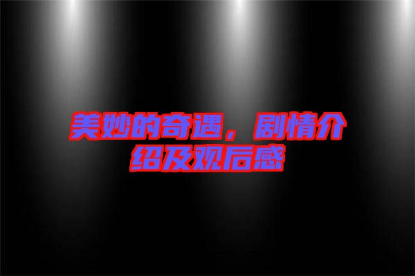 美妙的奇遇，劇情介紹及觀后感