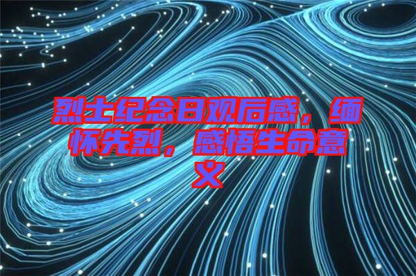 烈士紀(jì)念日觀后感，緬懷先烈，感悟生命意義