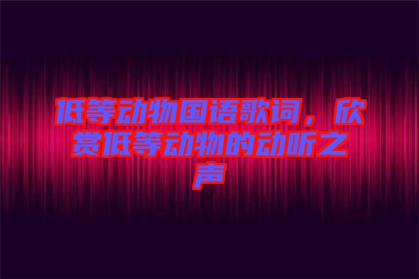 低等動(dòng)物國語歌詞，欣賞低等動(dòng)物的動(dòng)聽之聲