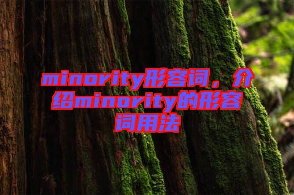 minority形容詞，介紹minority的形容詞用法