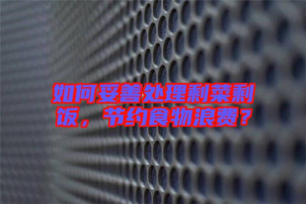 如何妥善處理剩菜剩飯，節(jié)約食物浪費？