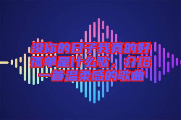 沒你的日子我真的好孤單是什么歌，介紹一首溫柔感的歌曲