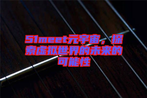 51meet元宇宙，探索虛擬世界的未來(lái)的可能性