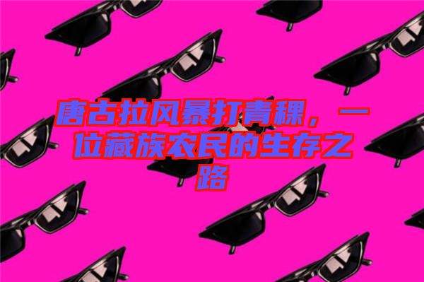 唐古拉風(fēng)暴打青稞，一位藏族農(nóng)民的生存之路