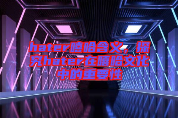 hater嘻哈含義，探究hater在嘻哈文化中的重要性