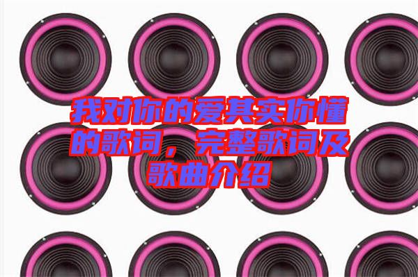 我對(duì)你的愛(ài)其實(shí)你懂的歌詞，完整歌詞及歌曲介紹