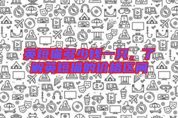 英短貓多少錢一只，了解英短貓的價(jià)格區(qū)間