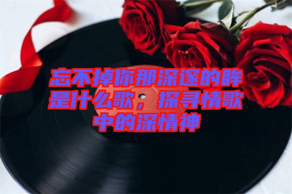 忘不掉你那深邃的眸是什么歌，探尋情歌中的深情神