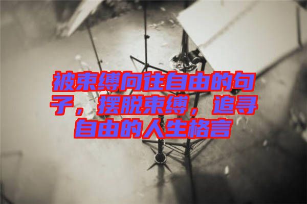 被束縛向往自由的句子，擺脫束縛，追尋自由的人生格言