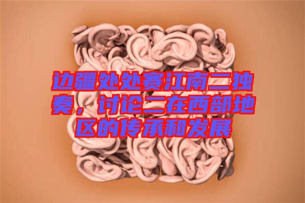 邊疆處處賽江南二獨(dú)奏，討論二在西部地區(qū)的傳承和發(fā)展