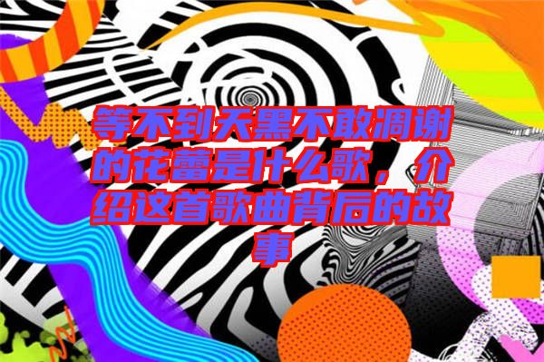 等不到天黑不敢凋謝的花蕾是什么歌，介紹這首歌曲背后的故事