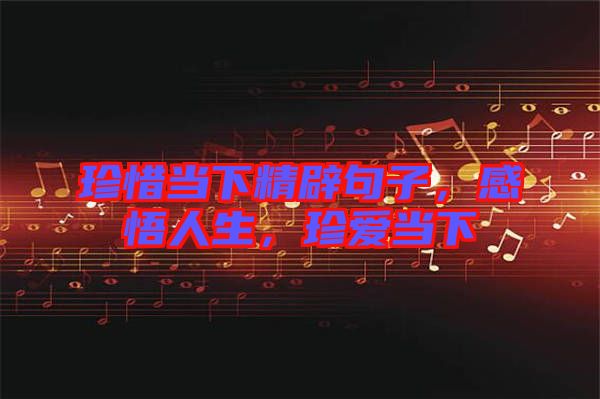 珍惜當(dāng)下精辟句子，感悟人生，珍愛當(dāng)下